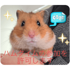 Mie_20251223211559