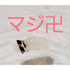 monmon_20251223212043