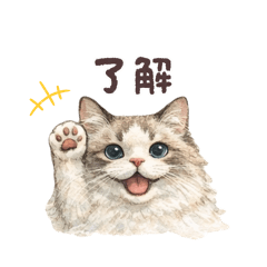 b ills_20251223183657