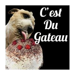 LCD - Le Cool Dog 7 (French Language)