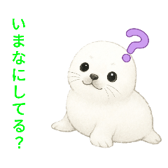 karin_20251223205215