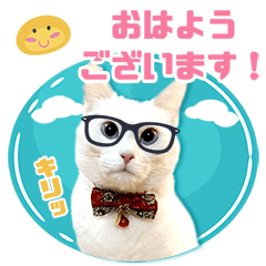 Greetings from 3Nyan's 3rd