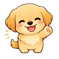 Golden Retriever Everyday