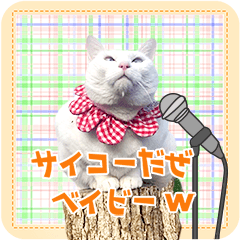 Greetings from 3Nyan's 4th