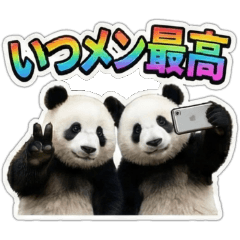 Panda School Days: Live Action