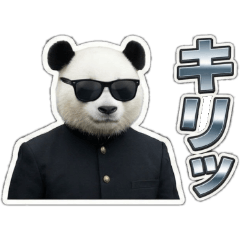 Panda School Days Live Action