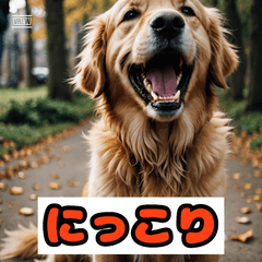 ゆるかわ！表情豊かなイヌと仲間たち