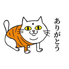 Positive Cat [Encouragement]