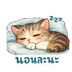 it me_20251223150944