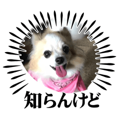 Asaka_20251223203556