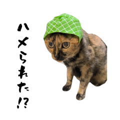 Neko world_20251223205026