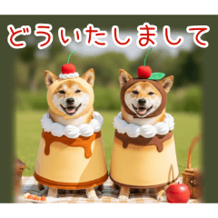 PAKAMOGOLY_20251223203826