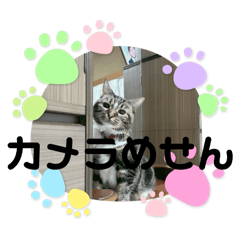 moeko_20251223215703