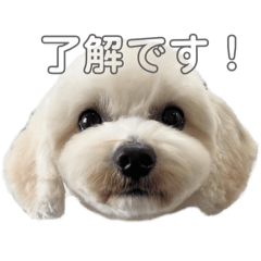 Longmom_20251223222232