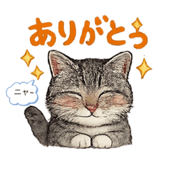 Chapo_20251223223318