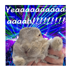 athar_20251223222707