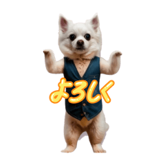 Pleasure_20251223223421