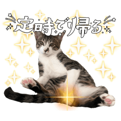 AYAKO_20251223213243