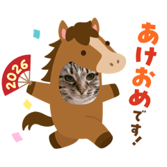 moeko_20251223214006