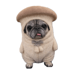 Hisaki Kobayashi_20251223213855