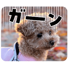 yossy_20251223213908