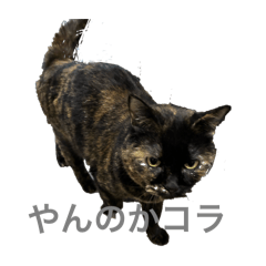 mikithusu_20251223214011