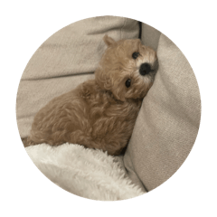 rinako_20251223213710