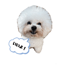 kurukuru._20251223214651