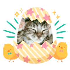 moeko_20251223215320