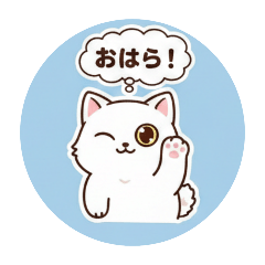 yocchi_20251223224915