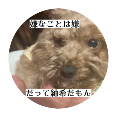 HapiTsumuGin_20251223225825