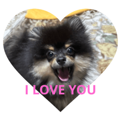 uchida_20251223230228