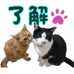 T.shunya_20251223230413