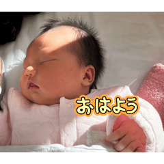 GORIRA_20251223230301