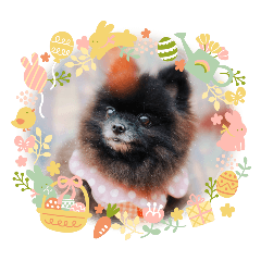 meinyans_20251223230453