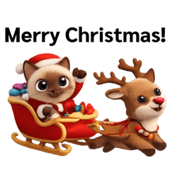 Capu Cate Meow in Christmas & New Year