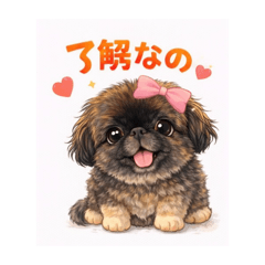 gu-co_20251223221445