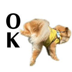 NARUMASU_20251223221350