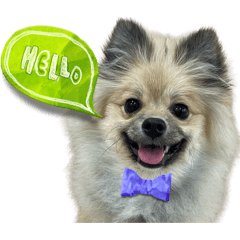 rikan_20251223221112