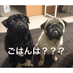 hirot_20251223221855