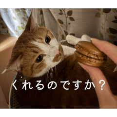 yuuka_20251223221113