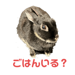 onpupupu_20251223221914