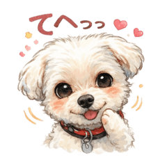 sophy_20251223235654