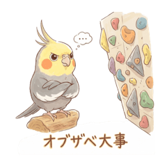 Chanharu Climbing_20251224000242