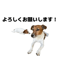 SHUNGATE_20251224000455