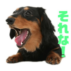 Kousuke_20251223220056