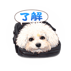 Lighdam_20251223225000