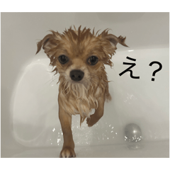 mihiro_20251224000751