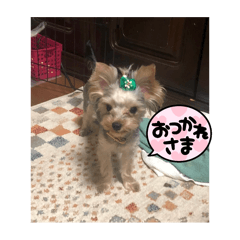 Yamanaka Ayaka_20251224001950