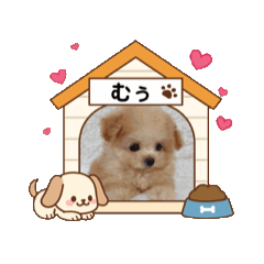 MIYUKI_20251224120038